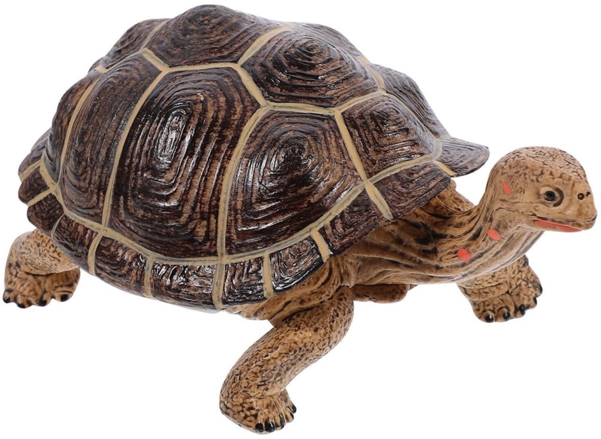 Decoratief beeldje van een bruine schildpad voor op tafel