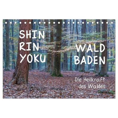 Shinrin yoku - Waldbaden 2026 (Tischkalender 2026 DIN A5 quer), CALVENDO Monatskalender