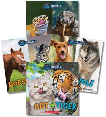 Wild World: Pets and Wild Animals Value Pack