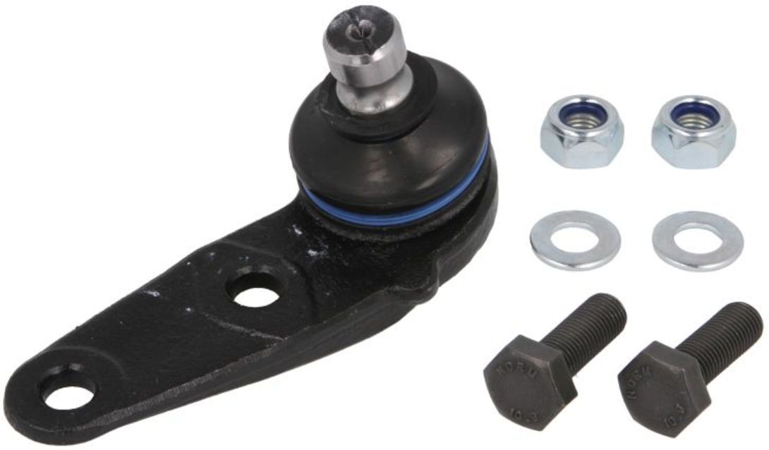 Junta de suporte REINHOCH RH03-0036