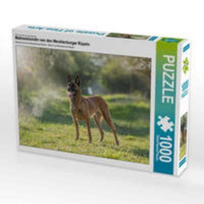 CALVENDO Puzzle Malinoishündin von den Mecklenburger Rüpeln | 1000 Teile Lege-Größe 64x48cm Foto-Puzzle für glückliche Stunden