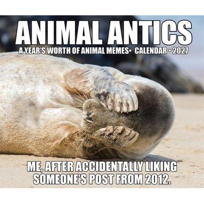 Animal Antics 2027 5.4 X 6.2 Box Calendar