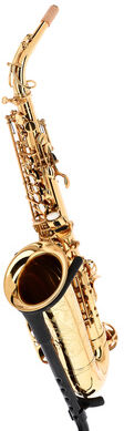 Forestone GX Gold Lacquered Alto Sax