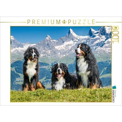 CALVENDO Puzzle Berner Sennenhunde in der Schweiz | 1000 Teile Lege-Größe 64x48cm Foto-Puzzle für glückliche Stunden