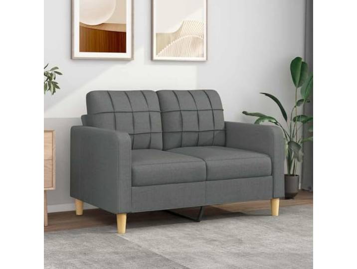 HEFZGDB 2-Sitzer-Sofa Dunkelgrau 120 cm Stoffbezug Modernes Design mit strapazierfähigem atmungsaktivem Material und robustem Metallgestell für hohe Stabilität Bequeme Polsterung