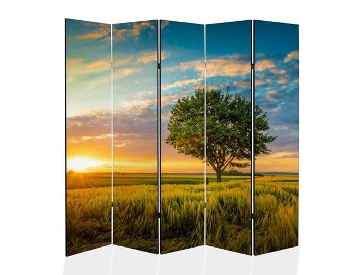framed concept - Paravent Raumteiler Holz 225x172 cm, 5-teilig beidseitig, Sichtschutzwand