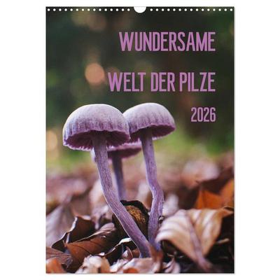 Wundersame Welt der Pilze (Wandkalender 2026 DIN A3 hoch), CALVENDO Monatskalender