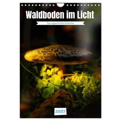 Waldboden im Licht (Wandkalender 2027 DIN A4 hoch), CALVENDO Monatskalender