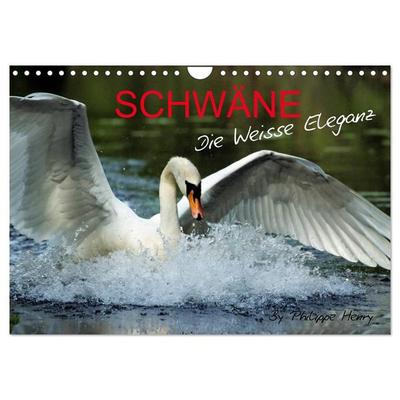 SCHWÄNE. (Wandkalender 2026 DIN A4 quer), CALVENDO Monatskalender