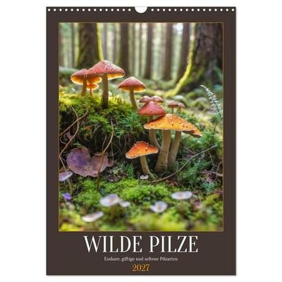 WILDE PILZE - Essbare, giftige und seltene Pilzarten (Wandkalender 2027 DIN A3 hoch), CALVENDO Monatskalender