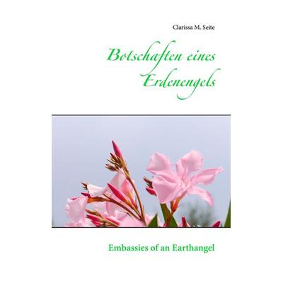 Botschaften eines Erdenengels, Taschenbuch von Clarissa M. Seite, BoD – Books on Demand, 978-3-7412-9458-7