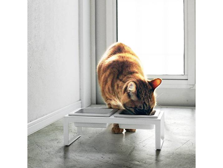 Futternapf 29cm Weiß