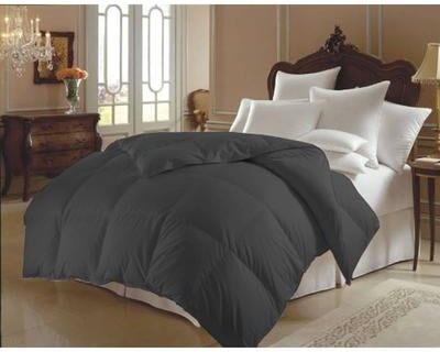 Elegant Comfort Hypoallergenic Double-Filled Comforter/ Duvet Insert