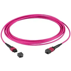 EFB Elektronik MTP¬-F/MTP¬-F 12-Fasermatrix Patchkabel OM4 LSZH erika-violett, Code A, 5m (5 m), Netzwerkkabel