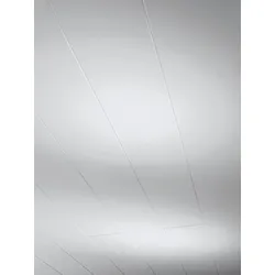 Parador Novara Paneel Seidenmatt Weiß Dekor 1250x200x10 mm