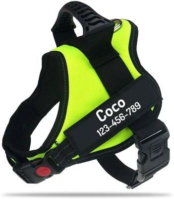 Inspired Living Personalized Adjustable Nylon Dog Vest Harness green xsold