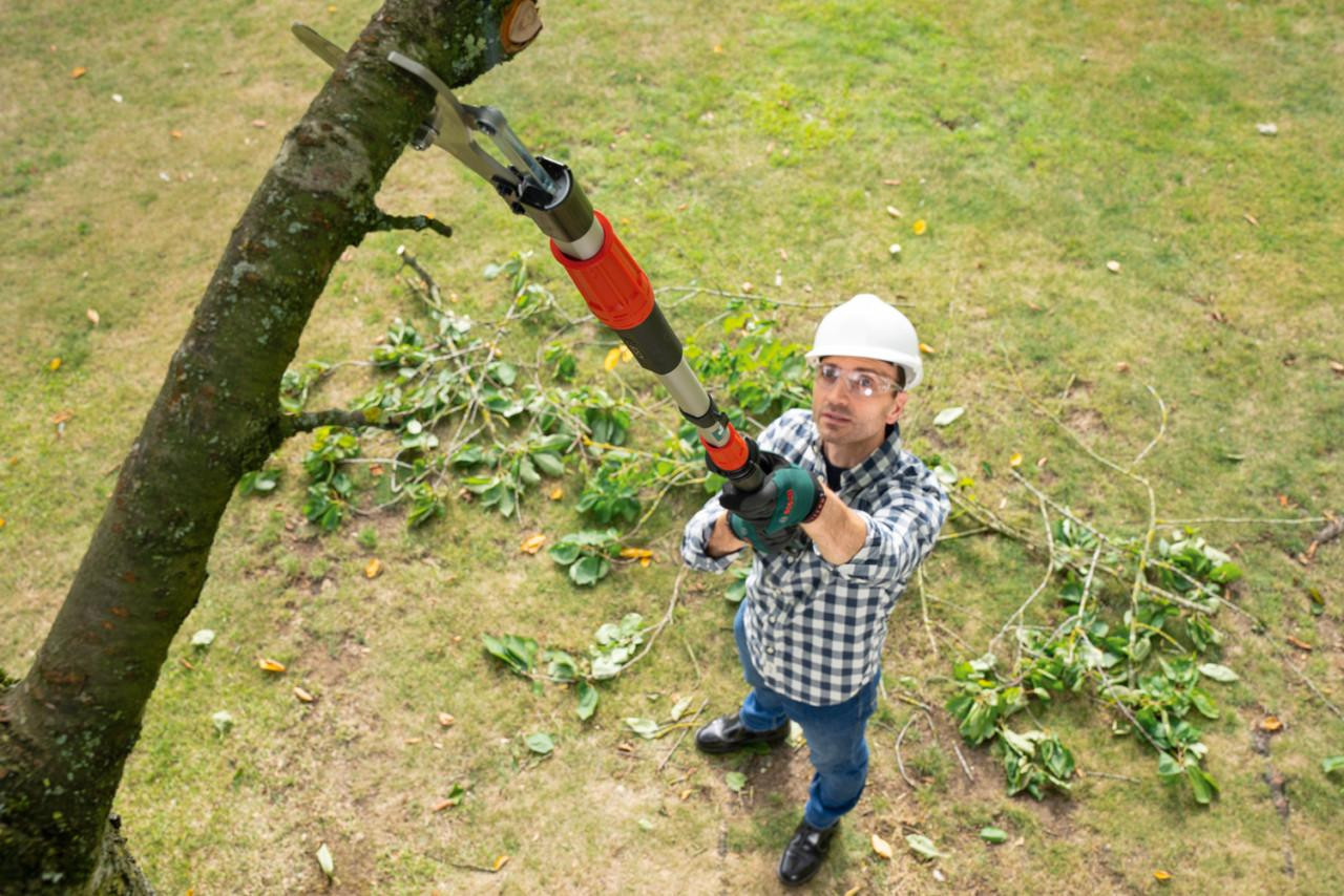 Bosch Home and Garden Accu-snoeischaar AdvancedPrune 18V-45 met verlengstang