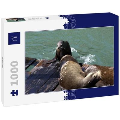 Lais Puzzle Seehund 1000 Teile