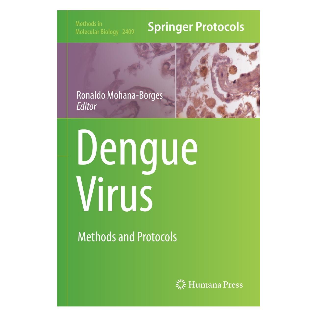 Springer Dengue Virus (9781071618783)