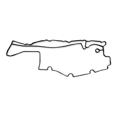 ELWIS ROYAL Dichtung, Zylinderkopfhaube 1555591 für Volvo ROVER