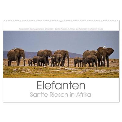 Elefanten - Sanfte Riesen in Afrika (Wandkalender 2026 DIN A2 quer), CALVENDO Monatskalender