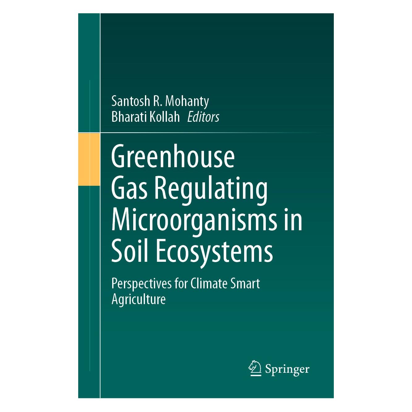 Springer Greenhouse Gas Regulating Microorganism (9783031705687)