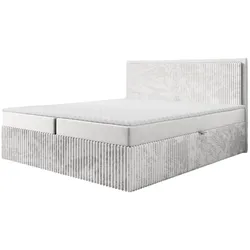 BOXBETT Hidis In Stoff Vito