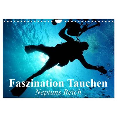 Faszination Tauchen - Neptuns Reich (Wandkalender 2026 DIN A4 quer), CALVENDO Monatskalender