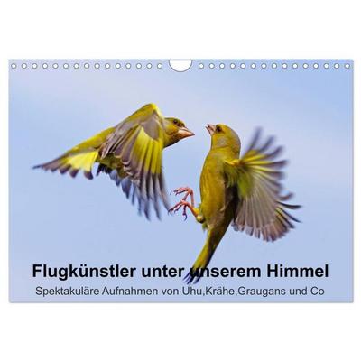 Flugkünstler unter unserem Himmel - Spektakuläre Aufnahmen von Uhu,Krähe,Graugans und Co (Wandkalender 2026 DIN A4 quer), CALVENDO Monatskalender