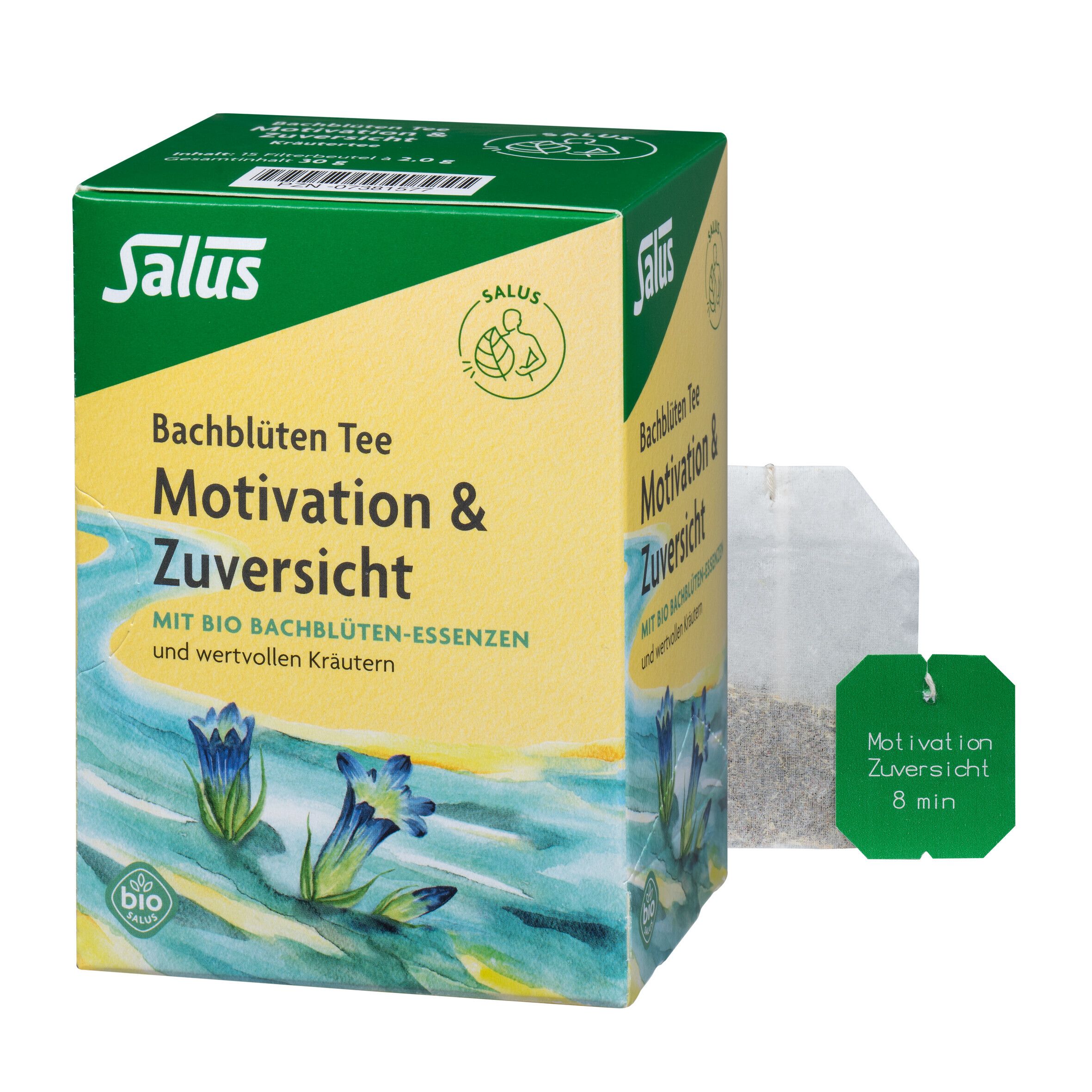 Bachblüten TEE Motivation&Zuversicht Bio Salus Fbt 15 St Filterbeutel