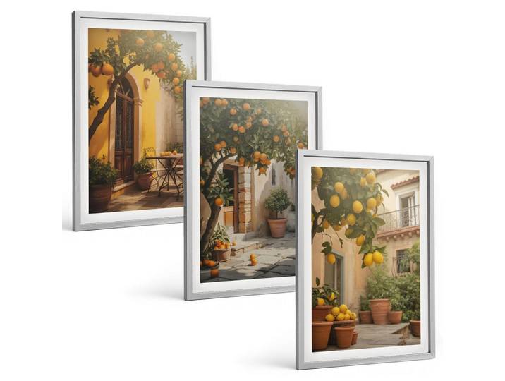 Tulup Bilder SET 3er Set - 40x60 cm Silberner Rahmen - Zitrustöpfe für sonnige Terrassen, Silberfarben, Kunststoff, Rechteckig, 40x60 cm, einfache und schnelle Anbringung, Bilder & Rahmen, Bilder