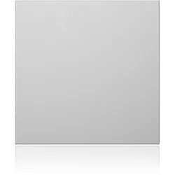 Ritto 1876620 Portier Blindmodul silber