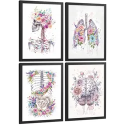 POSTER Set aus 4 Anatomie Mensch Drucke und mit Schädel Lungen Verdauungssystem und Gehirn Florales Aquarell Design Größe Schwarzer Rahmen A3