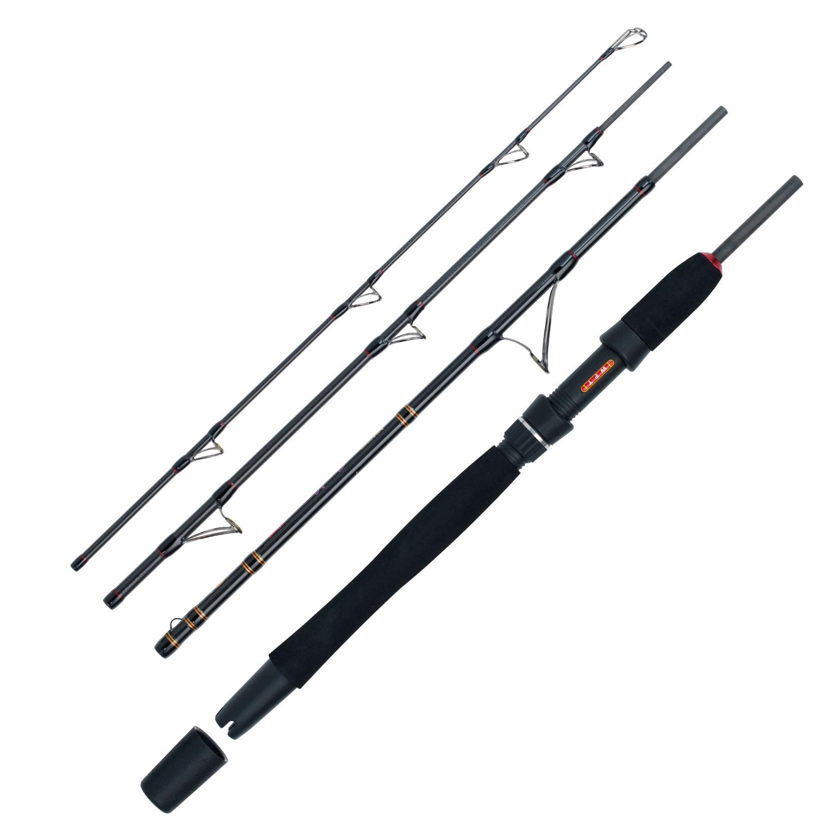 WFT Go North II 4pcs. 20lbs 2,10m 100-400g Meeres-Reiserute