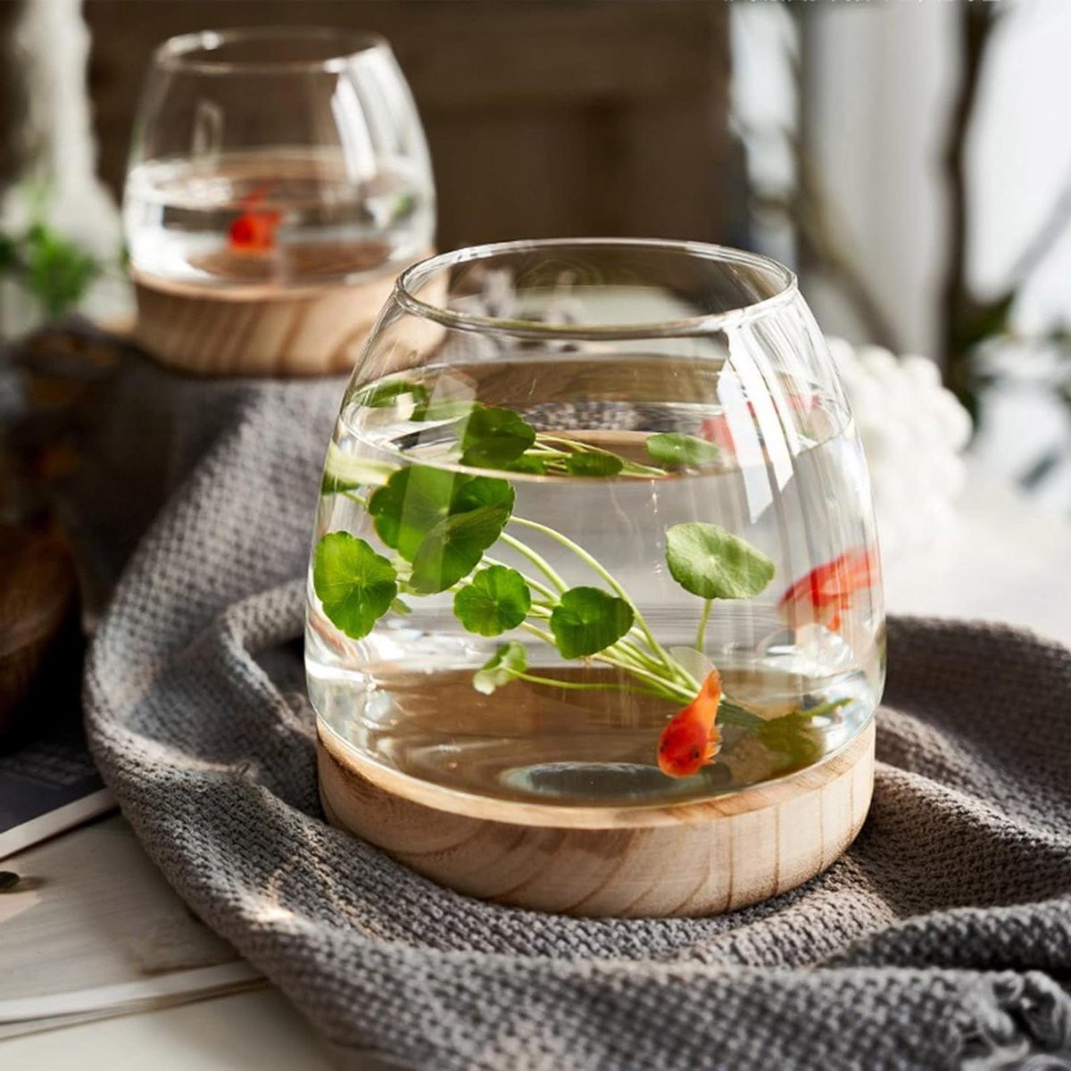Kleine Viskom Blauw - Glazen Decoratief Aquarium met Houten Basis - Hoogte: 19 cm