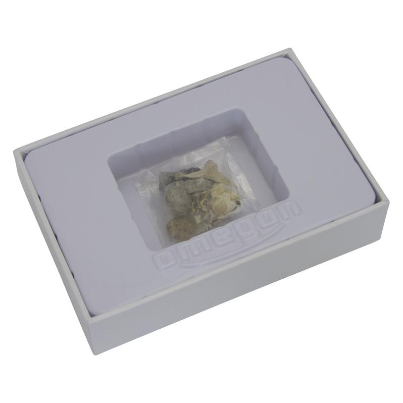 Omegon Fossiliensatz (46721)