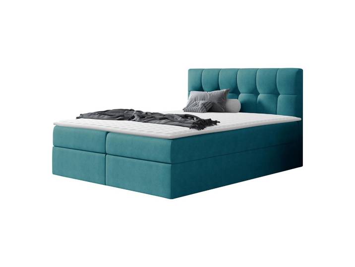 BOXBETT Rico - H3