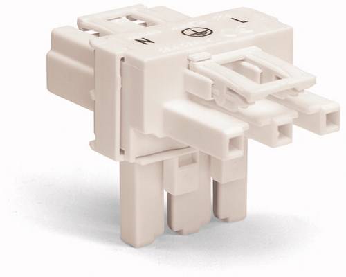 WAGO Netz-T-Verteiler Netz-Stecker - Netz-Buchse, Netz-Buchse Gesamtpolzahl: 3 Weiß 50St.