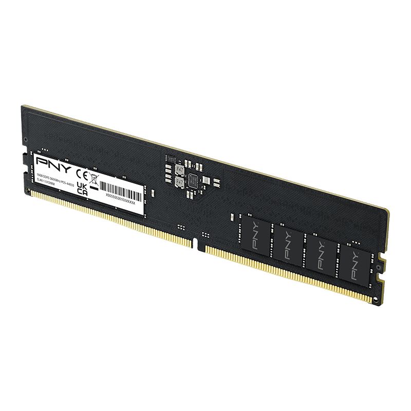 16GB (1x16GB) PNY 5600 CL40 1,2V (MD16GSD55600-SB)