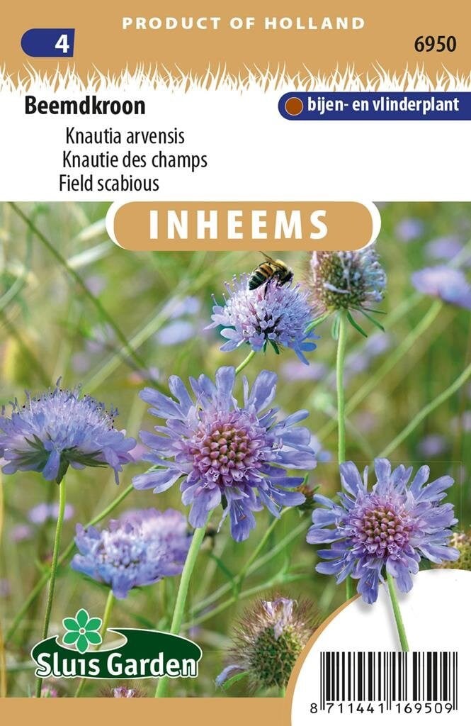 Sluis Garden Inheemse Knautia arvensis Beemdkroon zaden