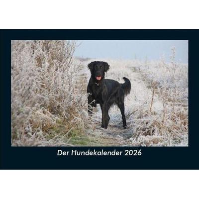 Der Hundekalender 2026 Fotokalender DIN A5
