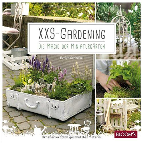 Evelyn Schinckel - XXS Gardening: Die Magie der Miniaturgärten - Preis vom 15.10.2026 23:06:25 h