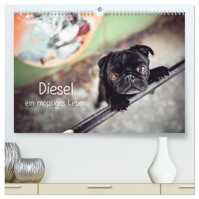 Diesel - ein mopsiges Leben (hochwertiger Premium Wandkalender 2026 DIN A2 quer), Kunstdruck in Hochglanz