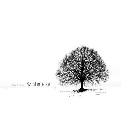 Winterreise D 911 -