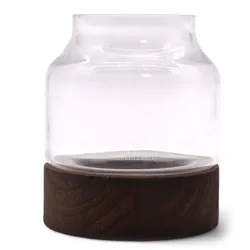 Small Shaped Terarium on Dark Tung Wood - 12x13cm