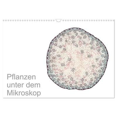 Pflanzen unter dem Mikroskop (Wandkalender 2026 DIN A3 quer), CALVENDO Monatskalender