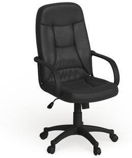 Flash Furniture High Back Glove Vinyl Executive Swivel Office Chair with Arms