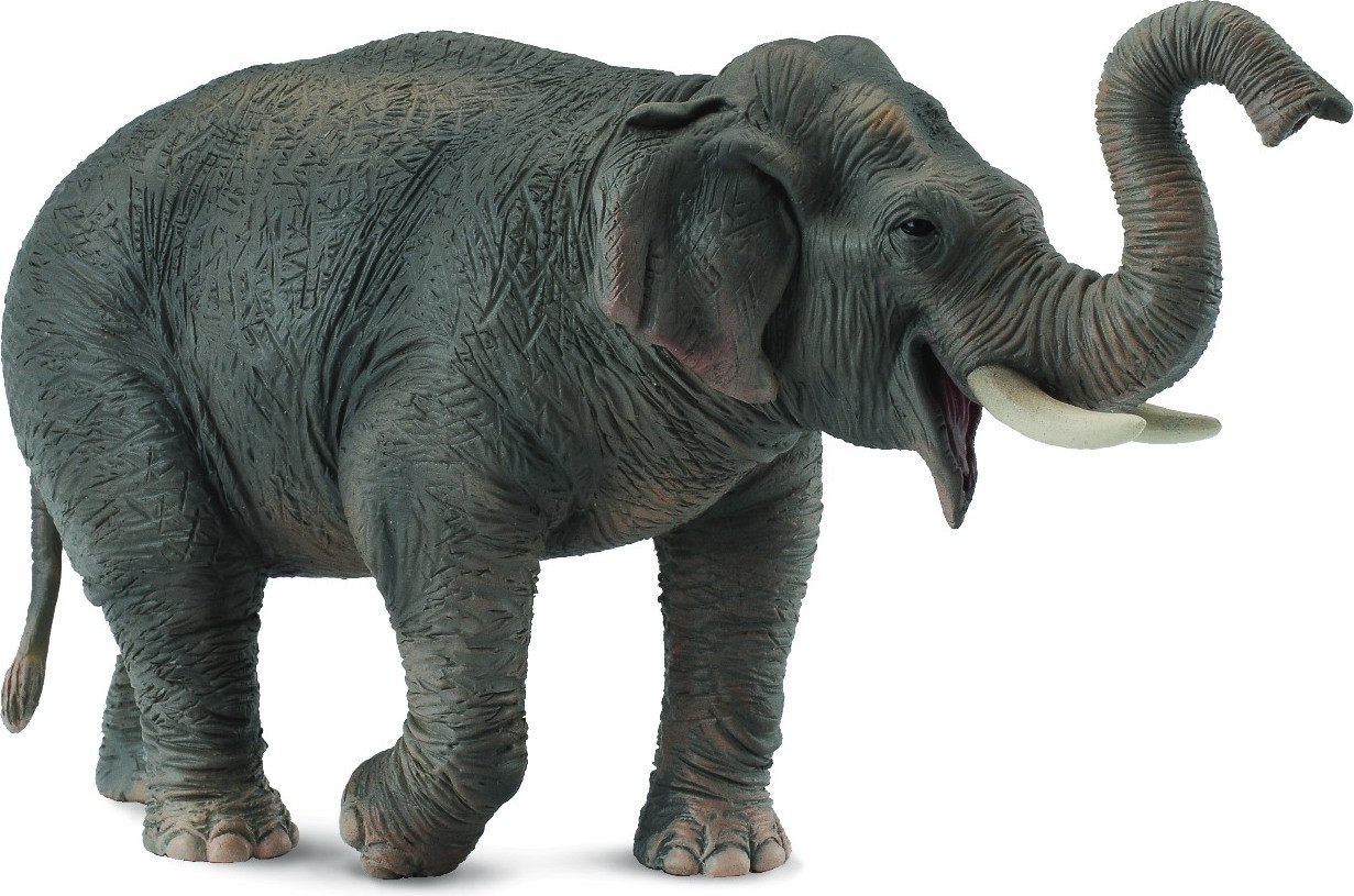 Collecta Aziatische olifant XL Dierenfiguur