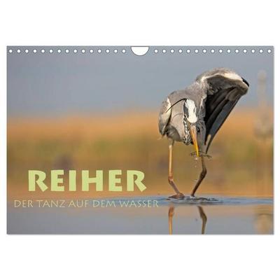 Reiher - Der Tanz auf dem Wasser (Wandkalender 2027 DIN A4 quer), CALVENDO Monatskalender
