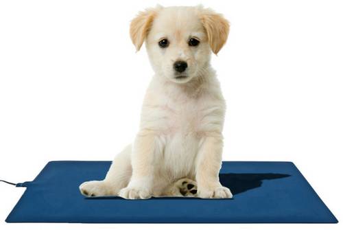 AccuLux Mat4Pet 464365 Heizmatte (L x B) 500mm x 300mm Blau